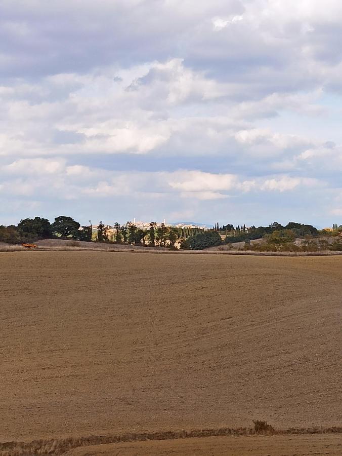 Villa Podere Cartaio Bio Estate Pool Airc 圣罗科阿费力 外观 照片